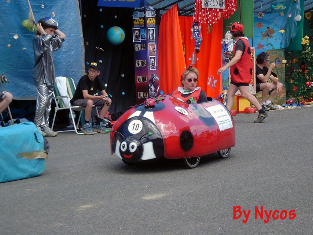 Coccinella 030.jpg